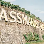 Akzent Berg's Alte Bauernschänke- Wellness Und Wein Hotel 4*
