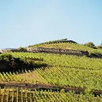 Hotel Akzent Berg's Alte Bauernschänke- Wellness Und Wein 4*