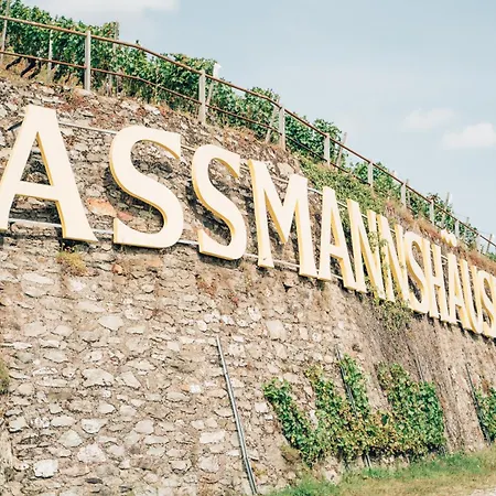 Akzent Berg's Alte Bauernschänke- Wellness Und Wein Hotel 4*