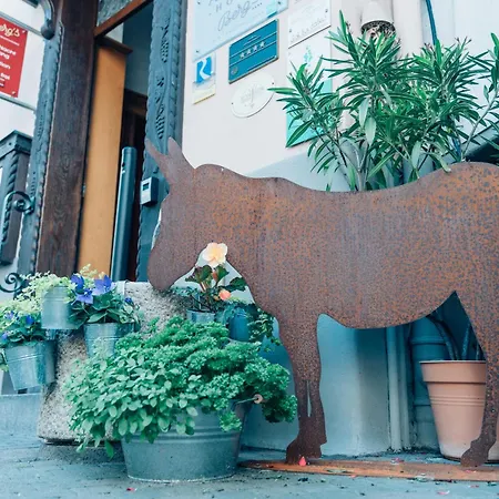 Akzent Berg's Alte Bauernschaenke- Wellness Und Wein Hotel Rüdesheim am Rhein