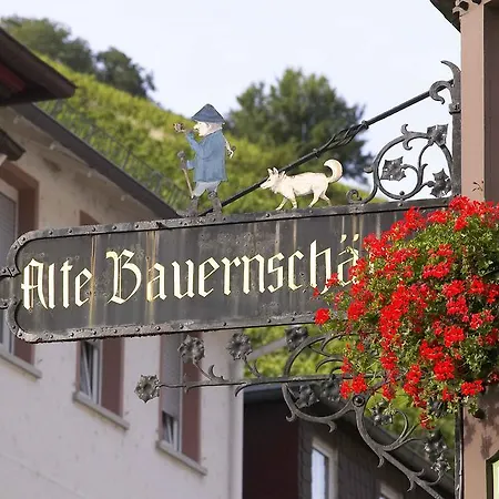 Akzent Berg's Alte Bauernschänke- Wellness Und Wein Hotel 4*