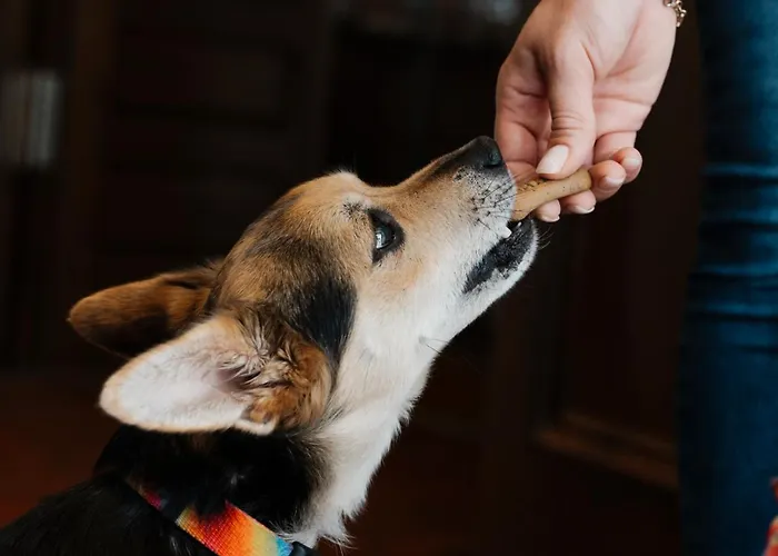 Hotell Akzent Berg's Alte Bauernschaenke- Wellness Und Wein 4*