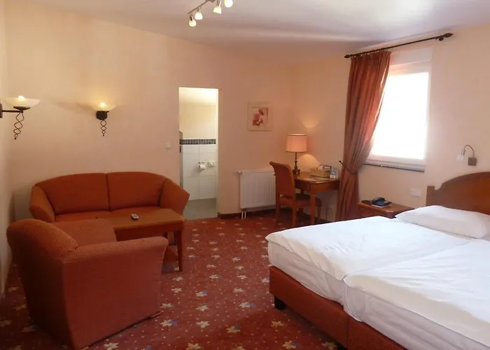 Akzent Berg's Alte Bauernschaenke- Wellness Und Wein 4* Рюдесгайм-ам-Райн