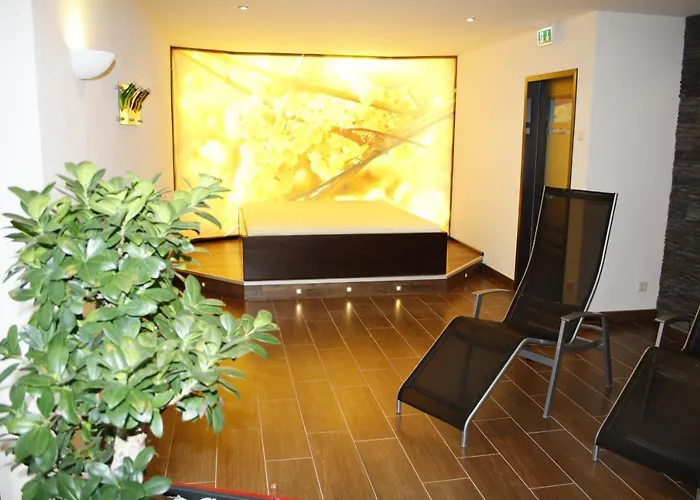 Akzent Berg's Alte Bauernschaenke- Wellness Und Wein Hotel Ruedesheim am Rhein